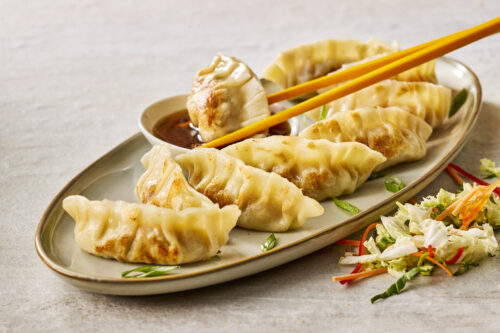 Chicken Dumplings